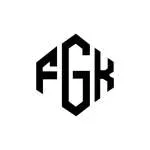 FGK Back Office Services Pvt Ltd company icon