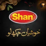 Shan Paper Board company icon