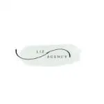 LizAgency company icon