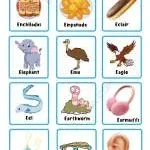 e force solution company icon