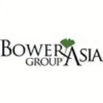 BowerGroupAsia company logo