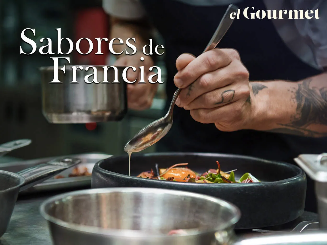A Taste of France: Culinary Adventures in the Hexagon