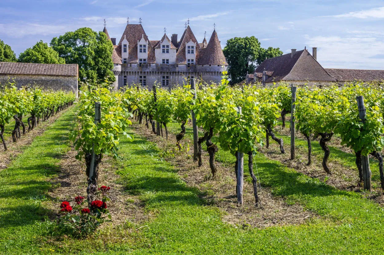 Bordeaux Wine Country: Sipping the Best of French Vintages