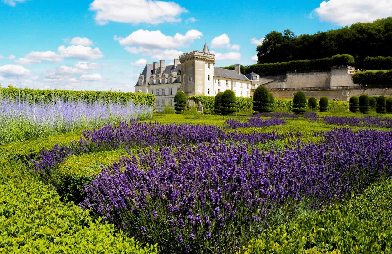 Loire Valley Gardens: Blooms and Botanical Beauty