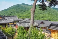 Temple Stay in Korea: Finding Serenity in Ancient Traditions
