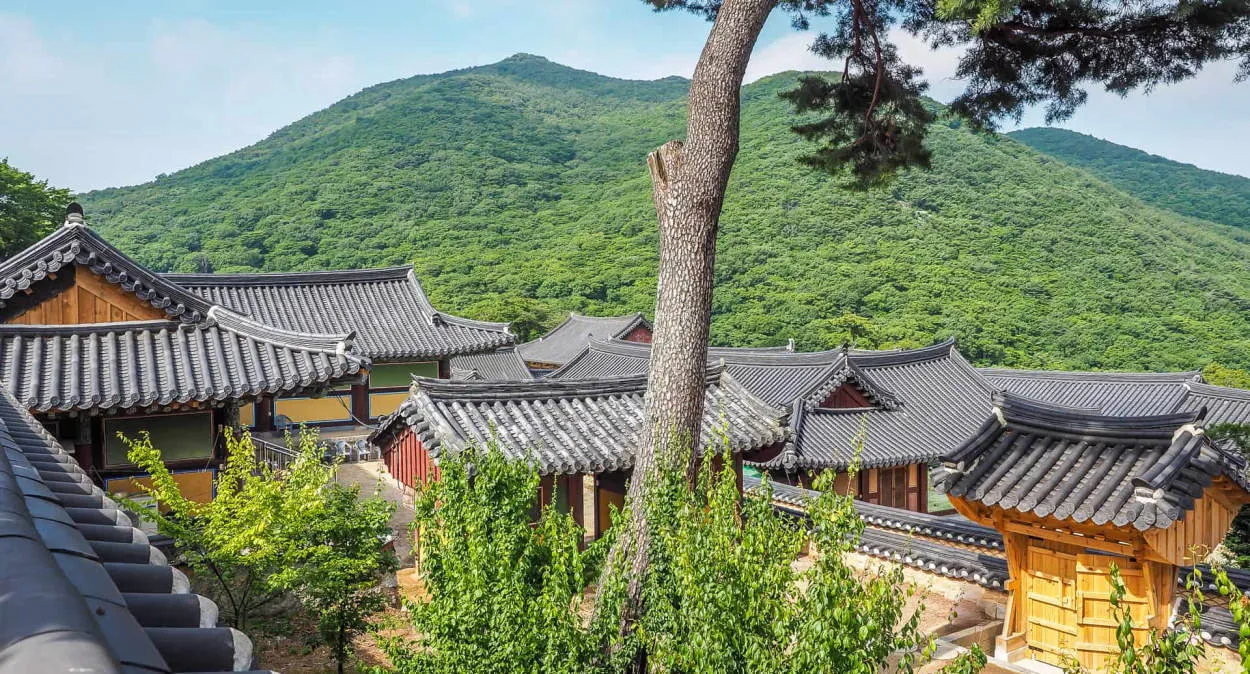 Temple Stay in Korea: Finding Serenity in Ancient Traditions