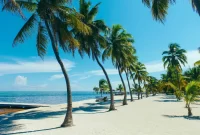 The Florida Keys: A Tropical Paradise Awaits