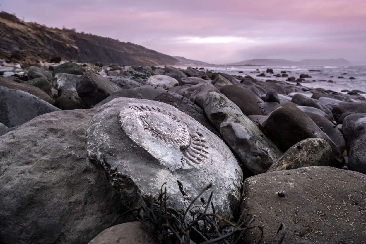 The Jurassic Coast: Fossils and Scenic Beauty