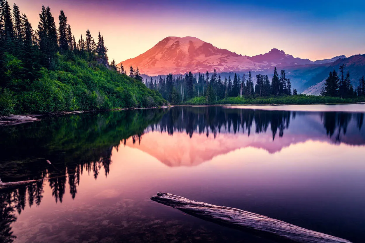 The Pacific Northwest: A Haven for Nature Enthusiasts