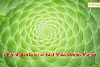 7 Keindahan Lukisan Saat Masuk Dunia Makro