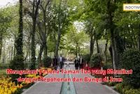 Mengalami Pesona Taman Tua yang Memikat dengan Pepohonan dan Bunga di Iran