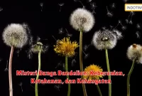 Misteri Bunga Dandelion: Keberanian, Ketahanan, dan Kehangatan