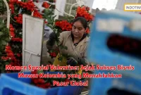 Momen Spesial Valentine: Jejak Sukses Bisnis Mawar Kolombia yang Menaklukkan Pasar Global