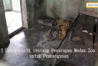 5 Hal Menarik tentang Penutupan Medan Zoo untuk Pembangunan