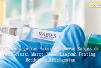 BNPB Menargetkan Vaksinasi Hewan Rabies di NTT Selesai Maret 2024: Langkah Penting Mendukung Keselamatan