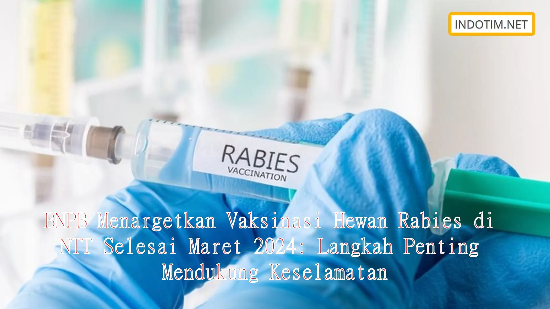 BNPB Menargetkan Vaksinasi Hewan Rabies di NTT Selesai Maret 2024: Langkah Penting Mendukung Keselamatan