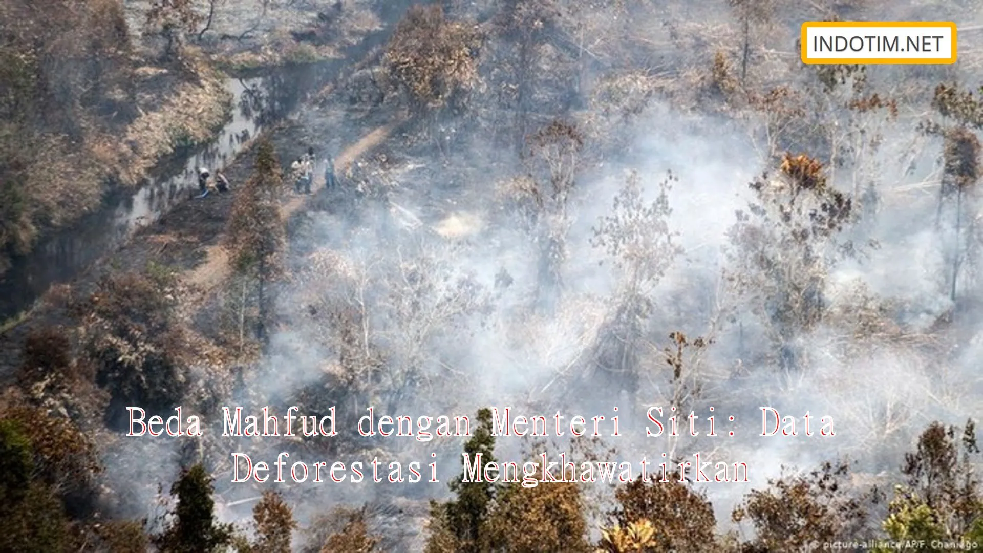 Beda Mahfud dengan Menteri Siti: Data Deforestasi Mengkhawatirkan