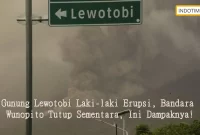 Gunung Lewotobi Laki-laki Erupsi, Bandara Wunopito Tutup Sementara, Ini Dampaknya!