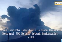 Gunung Lewotobi Laki-laki: Letusan Eksklusif Mencapai 700 Meter, Sebuah Spektakuler Alam