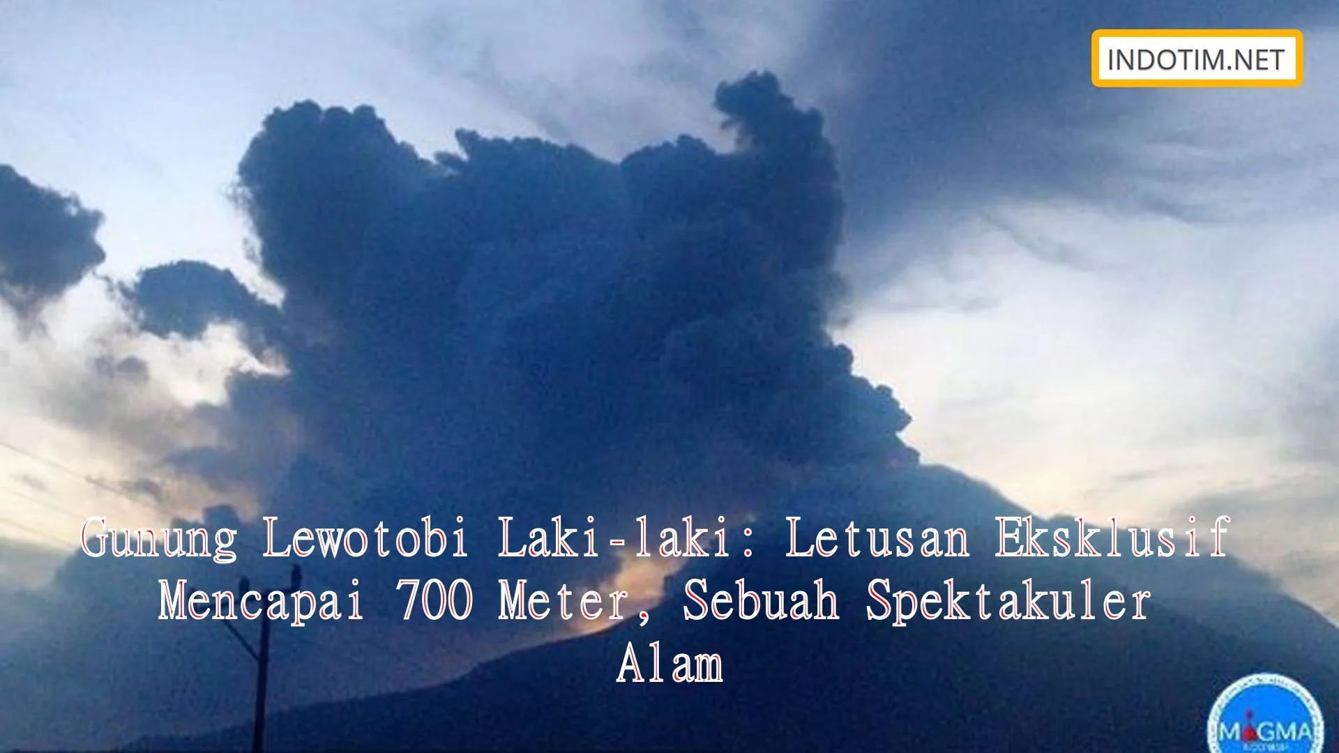 Gunung Lewotobi Laki-laki: Letusan Eksklusif Mencapai 700 Meter, Sebuah Spektakuler Alam