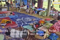Gunung Lewotobi Laki-laki Meletus, Warga 5 Desa Flores Timur Mengungsi