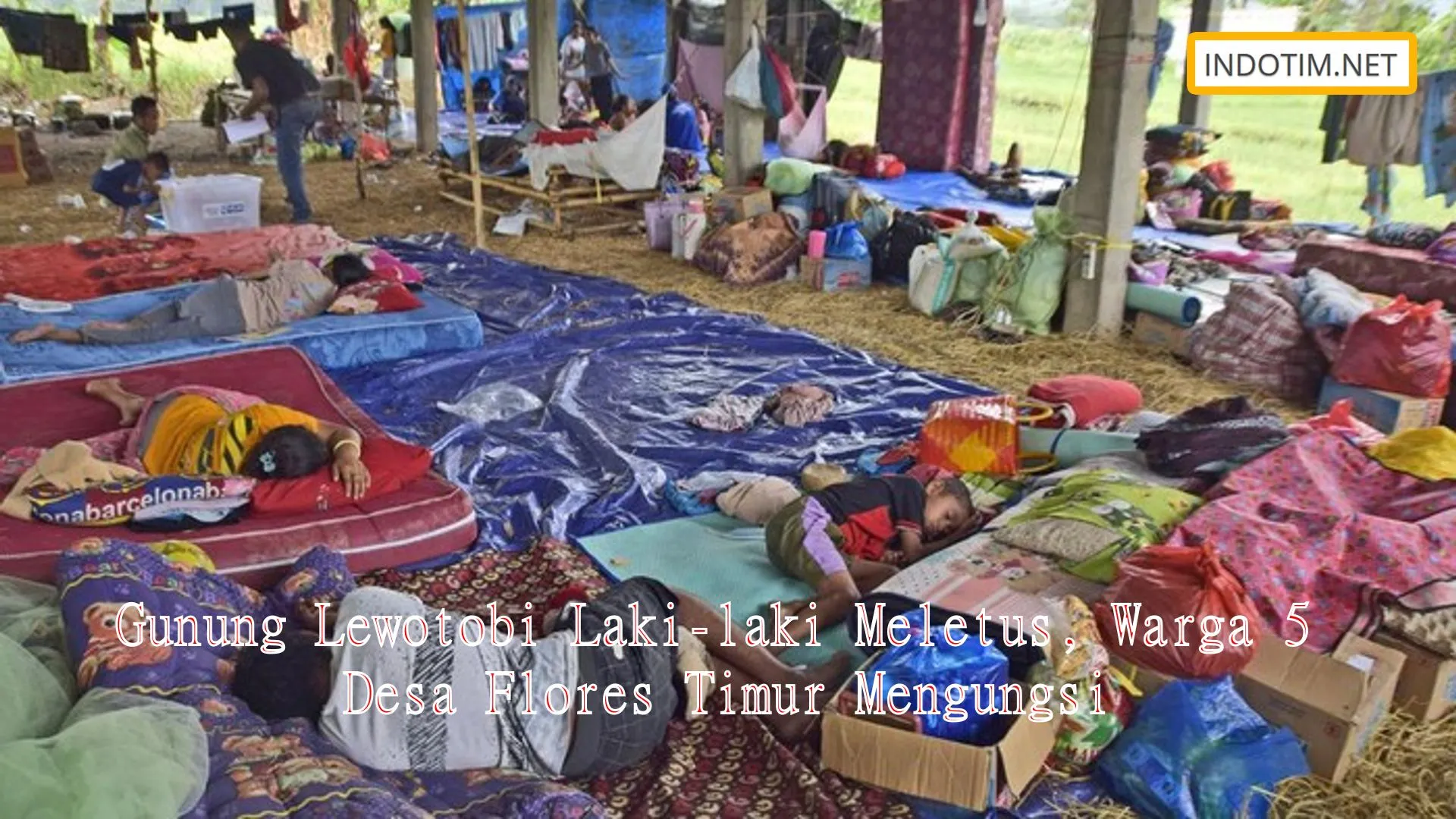 Gunung Lewotobi Laki-laki Meletus, Warga 5 Desa Flores Timur Mengungsi