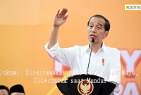 Jokowi: Ditertawakan saat Pemerintah Maju, Diberontak saat Mundur