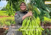 KLHK Menerapkan Rehabilitasi Hutan dan Lahan dengan Peran Masyarakat