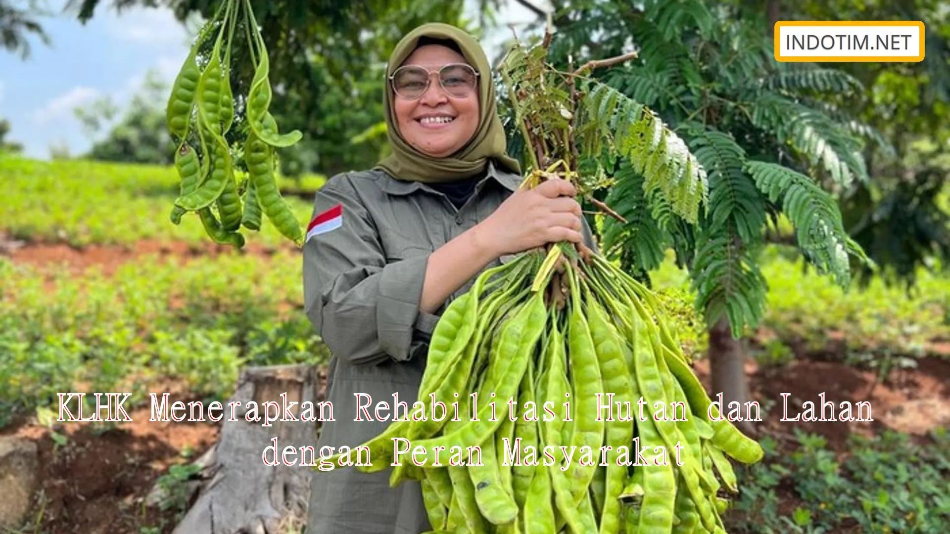 KLHK Menerapkan Rehabilitasi Hutan dan Lahan dengan Peran Masyarakat