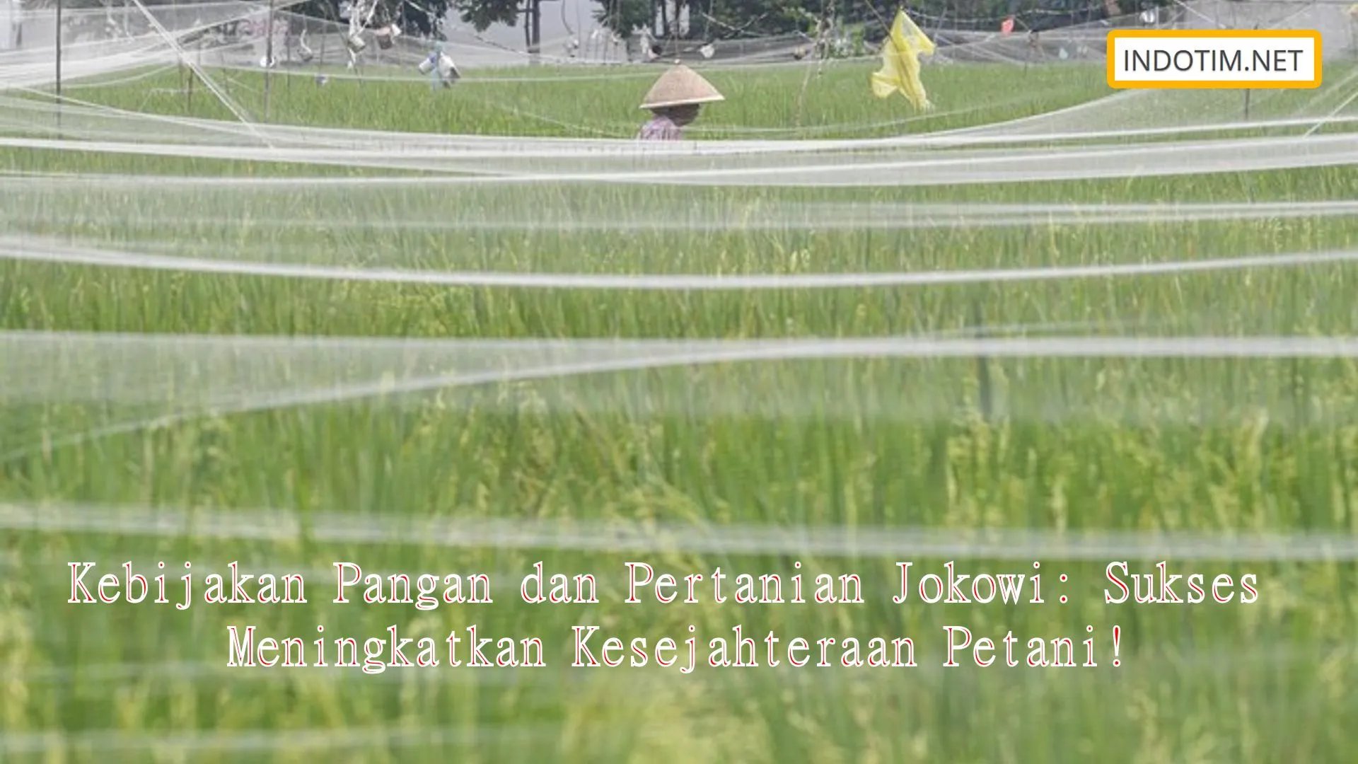 Kebijakan Pangan dan Pertanian Jokowi: Sukses Meningkatkan Kesejahteraan Petani!