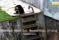 Kekacauan Medan Zoo: Menyedihkan, Ditutup Sementara
