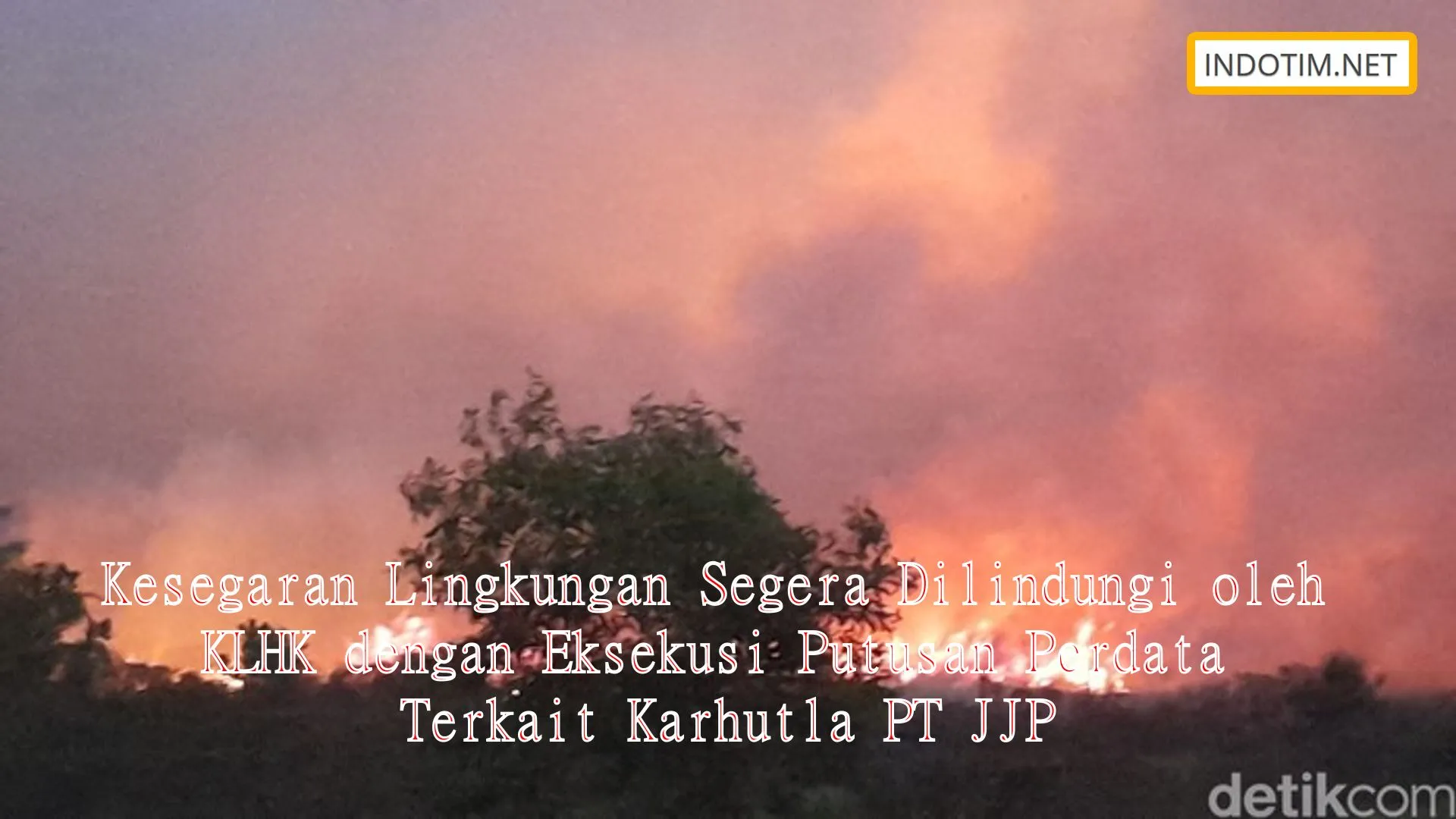 Kesegaran Lingkungan Segera Dilindungi oleh KLHK dengan Eksekusi Putusan Perdata Terkait Karhutla PT JJP