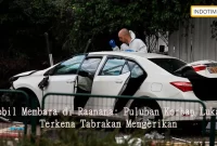 Mobil Membara di Raanana: Puluhan Korban Luka Terkena Tabrakan Mengerikan