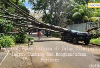 Penyebab Pohon Raksasa di Jalan Sriwijaya Jaksel Tumbang dan Menghancurkan Fortuner