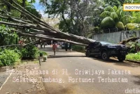 Pohon Raksasa di Jl. Sriwijaya Jakarta Selatan Tumbang, Fortuner Terhantam