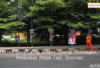 Potret Seru Caleg Diberi Status Tersangka, Penusukan Pohon Jadi Sorotan!