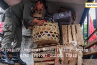 Satpol PP Denpasar Menertibkan Pedagang di Atas Trotoar dengan Tegas