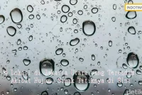 4 Lokasi di Jakarta Utara yang Terendam Akibat Hujan, Simak Titiknya di Sini