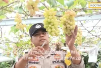 Aksi Aipda Firman Membimbing Warga Selat Mataram dalam Budidaya Anggur