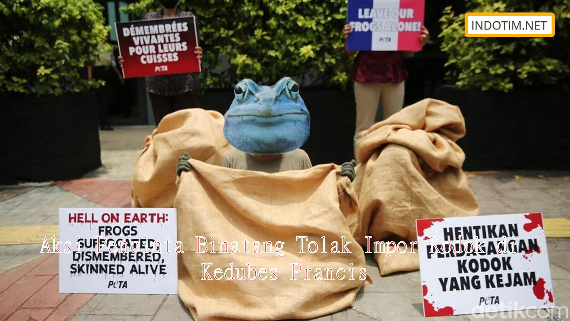 Aksi Pencinta Binatang Tolak Impor Kodok di Kedubes Prancis