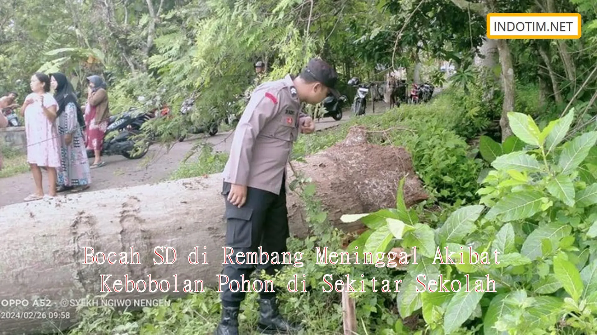 Bocah SD di Rembang Meninggal Akibat Kebobolan Pohon di Sekitar Sekolah