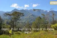 Geger! Pilot Australia Diculik di Papua Nugini