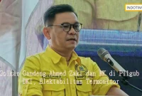 Golkar Gandeng Ahmed Zaki dan RK di Pilgub DKI, Elektabilitas Termonitor