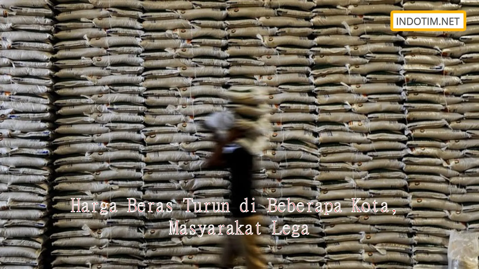 Harga Beras Turun di Beberapa Kota, Masyarakat Lega