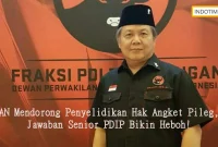 PAN Mendorong Penyelidikan Hak Angket Pileg, Jawaban Senior PDIP Bikin Heboh!