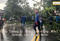 Pohon Tumbang di Jalan Ciawi-Gadog: Mobil Terkena, Lalu Lintas Macet