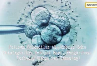 Putusan Pengadilan AS: Embrio Beku Dikategorikan Sebagai Bayi, Pengaruhnya Terhadap Hukum dan Teknologi