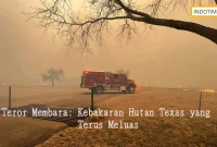 Teror Membara: Kebakaran Hutan Texas yang Terus Meluas