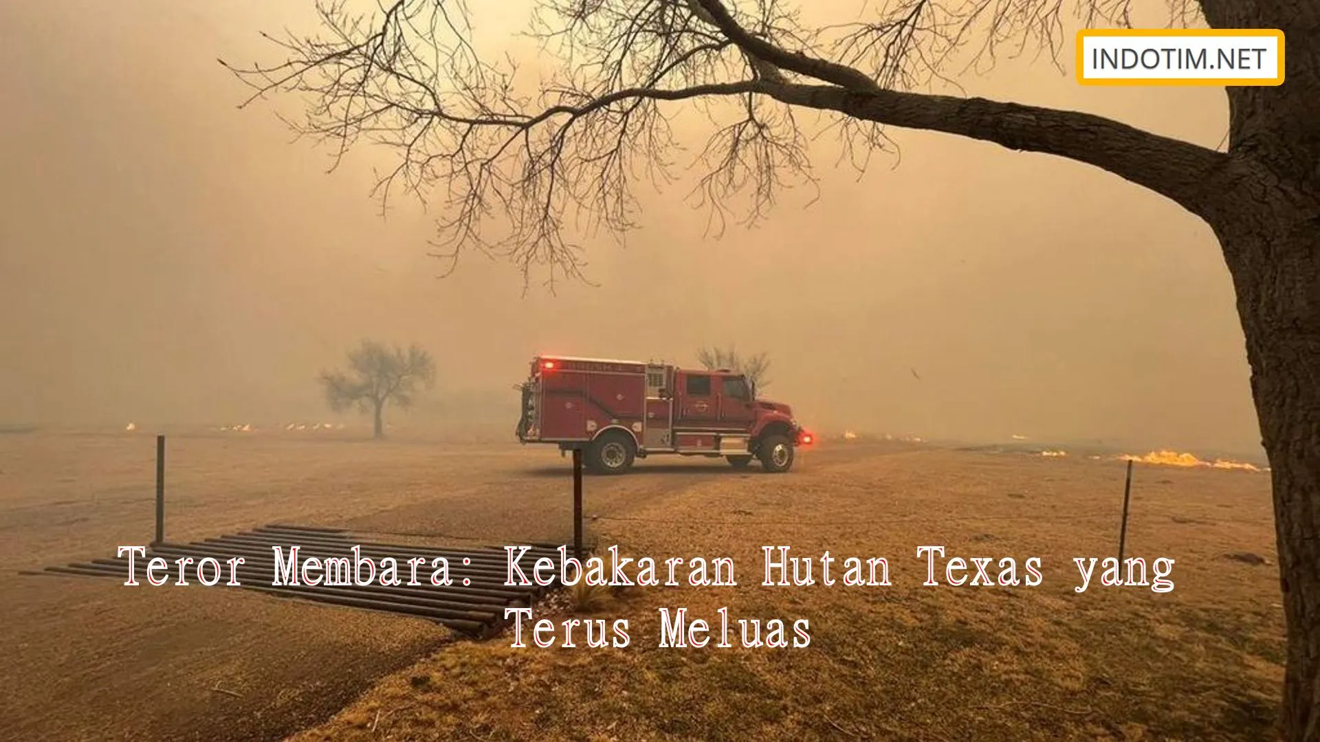 Teror Membara: Kebakaran Hutan Texas yang Terus Meluas