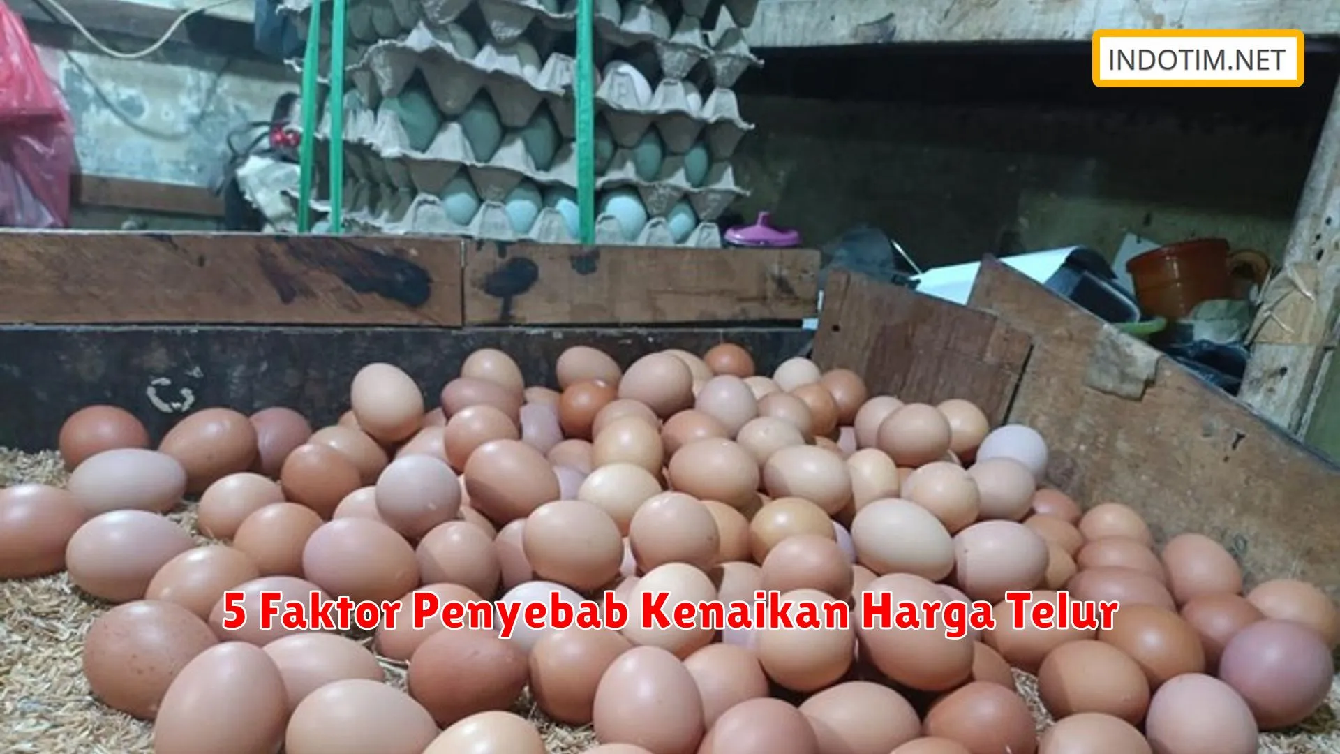 5 Faktor Penyebab Kenaikan Harga Telur